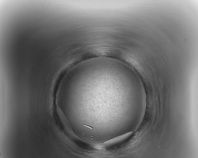 X0000089460399200706221309