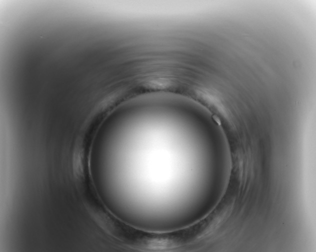 X0000089460400200706221309