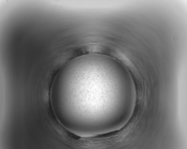 X0000089460401200706221309