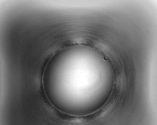 X0000089460402200706221309