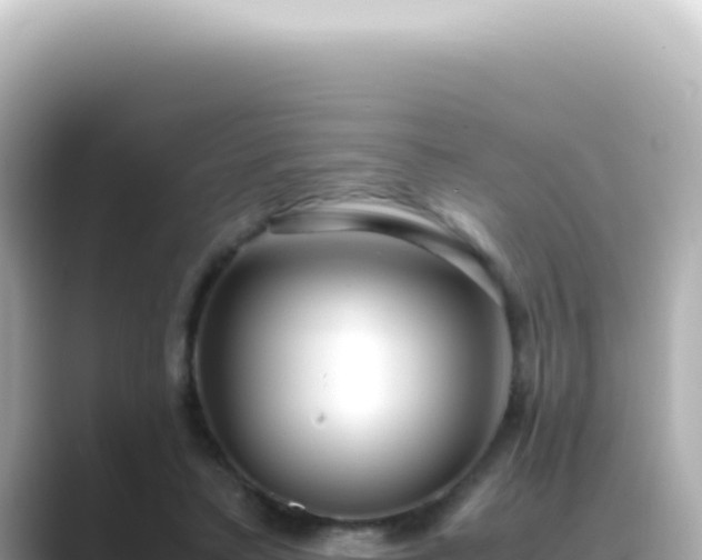 X0000089460403200706221309