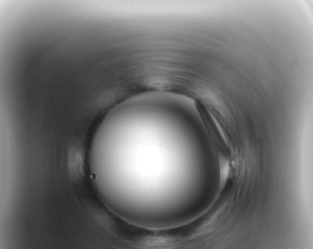 X0000089460404200706221309