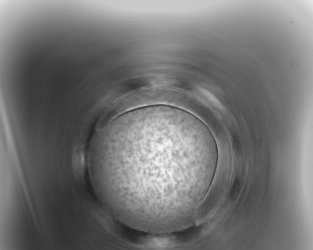 X0000089460405200706221309