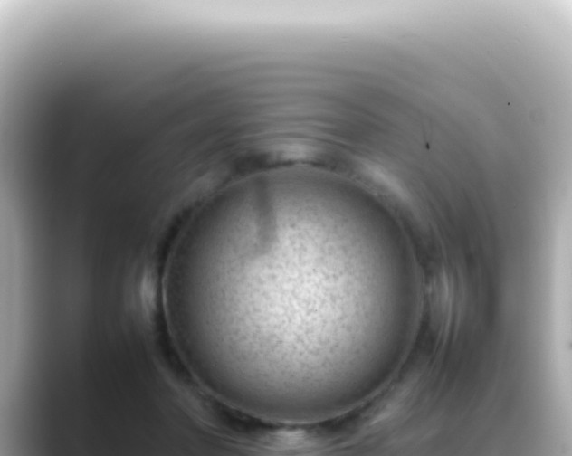 X0000089460406200706221309