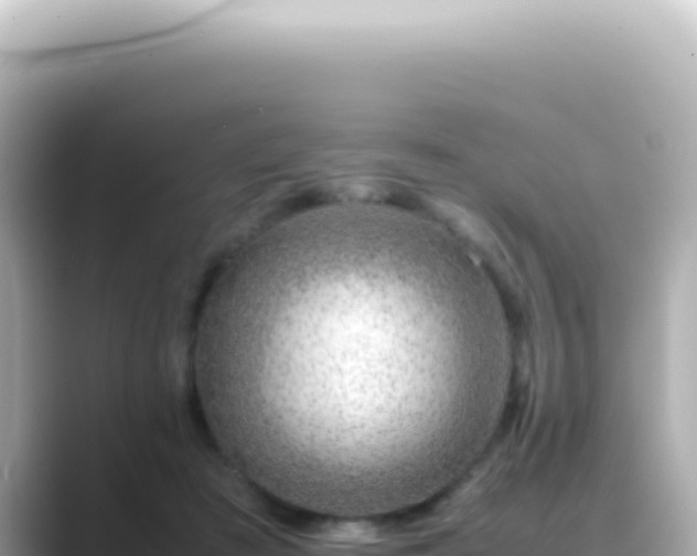 X0000089460409200706221309
