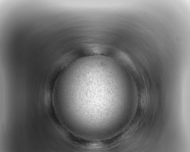 X0000089460410200706221309