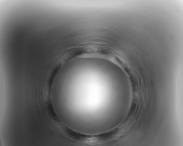 X0000089460411200706221309