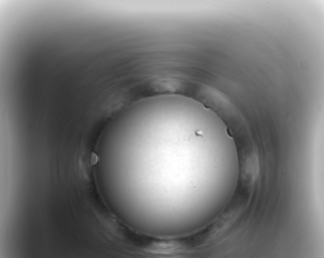 X0000089460414200706221308