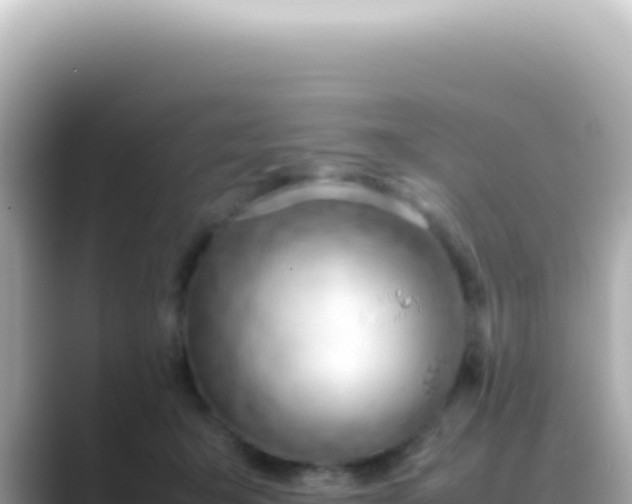 X0000089460415200706221308