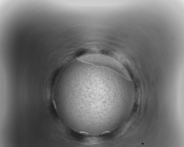 X0000089460417200706221308