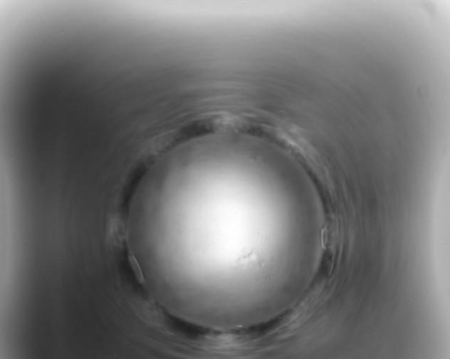 X0000089460419200706221308