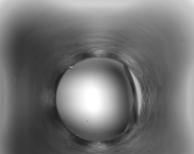 X0000089460421200706221308