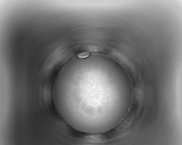 X0000089460422200706221308