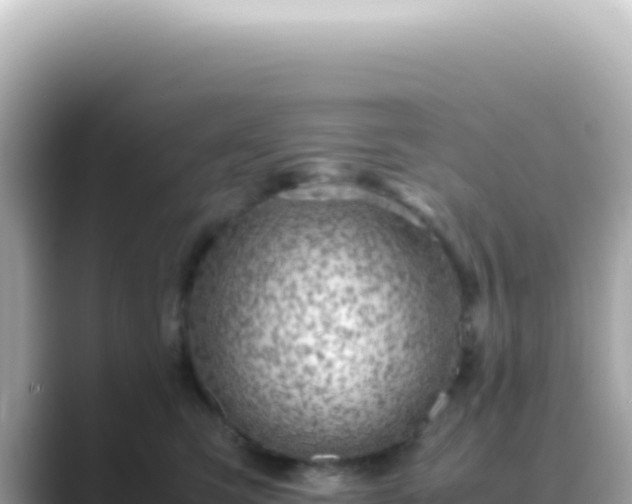 X0000089460423200706221308