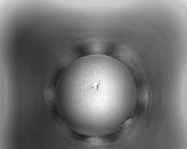 X0000089460425200706221308