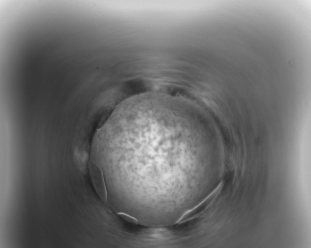 X0000089460427200706221308