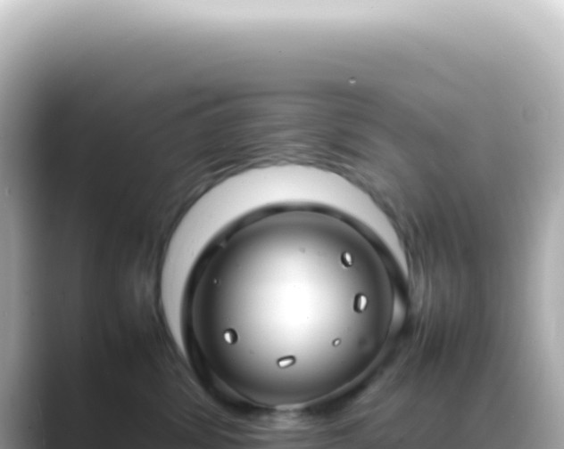 X0000089460428200706221308