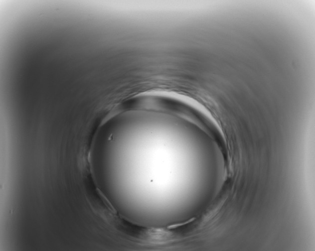 X0000089460429200706221308