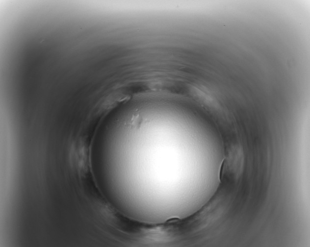 X0000089460430200706221308