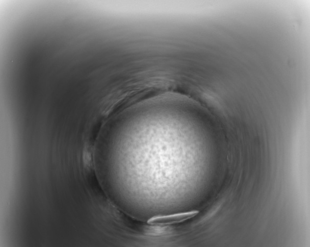 X0000089460432200706221308