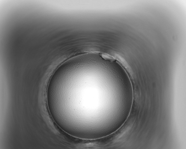 X0000089460433200706221308