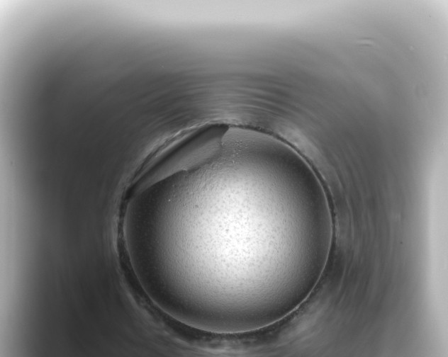 X0000089460434200706221308
