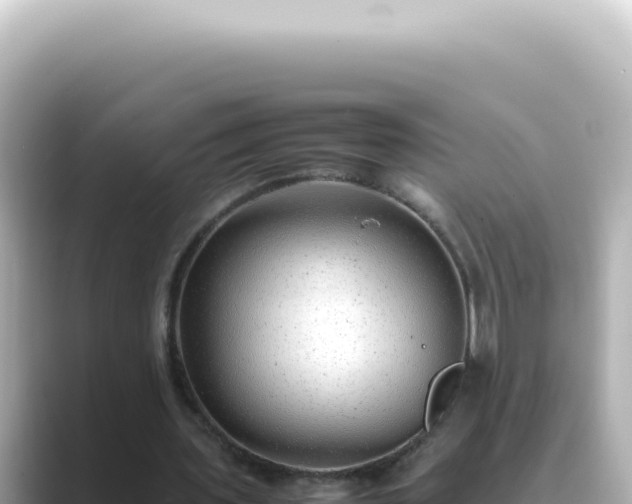 X0000089460435200706221308
