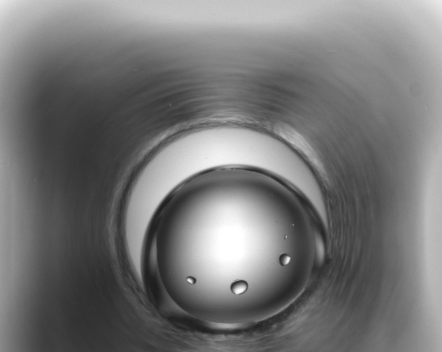 X0000089460436200706221308