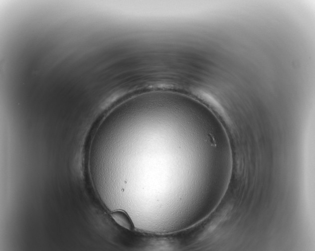 X0000089460439200706221308