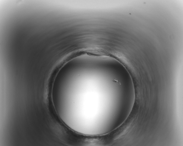 X0000089460440200706221308