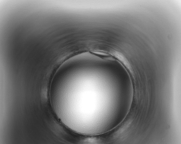 X0000089460441200706221308