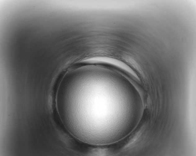 X0000089460444200706221308