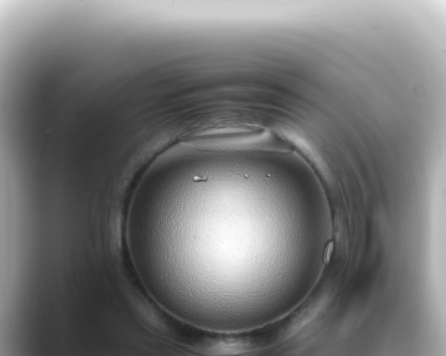 X0000089460445200706221308