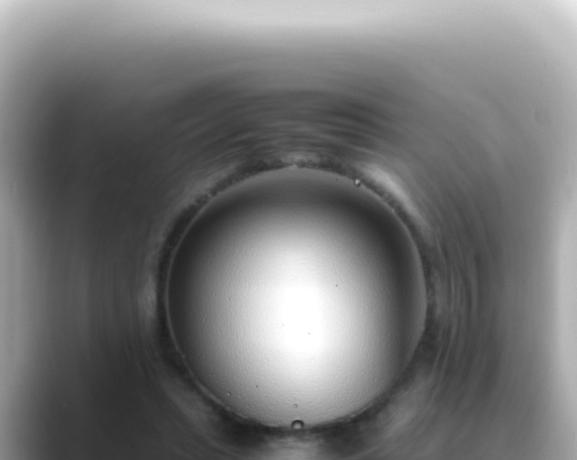 X0000089460447200706221308