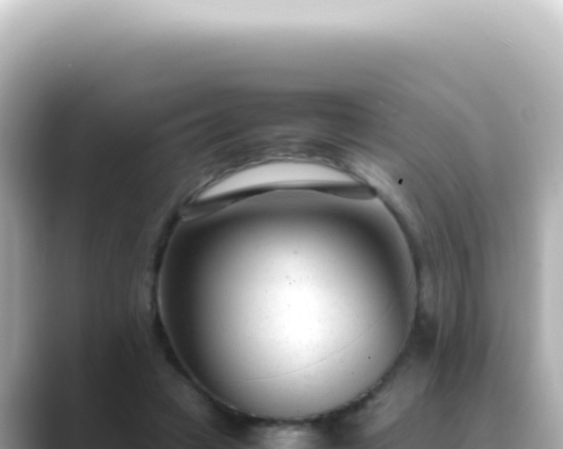 X0000089460449200706221308