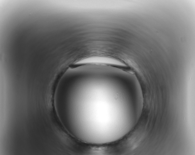 X0000089460450200706221308