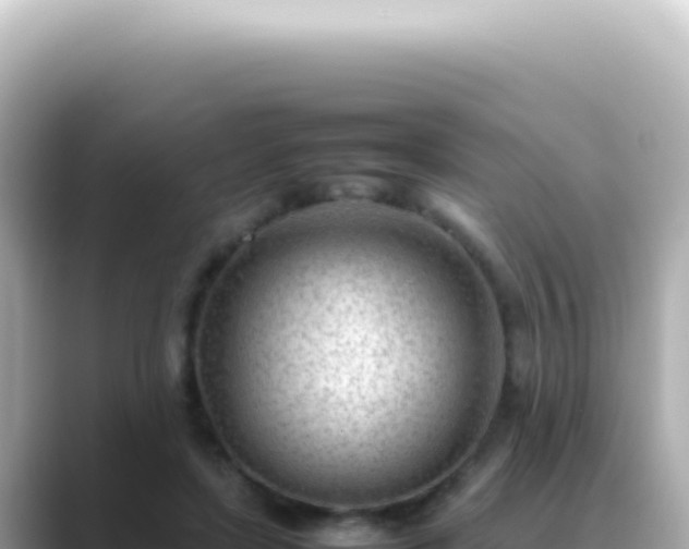 X0000089460451200706221308