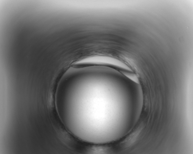 X0000089460453200706221308