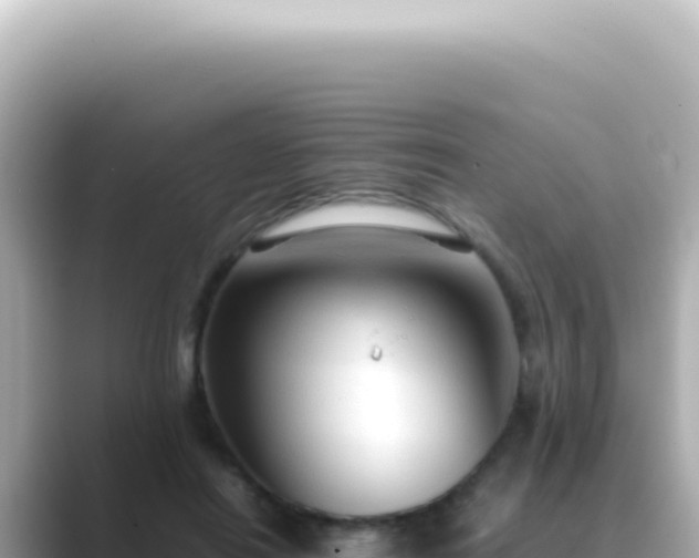 X0000089460454200706221308