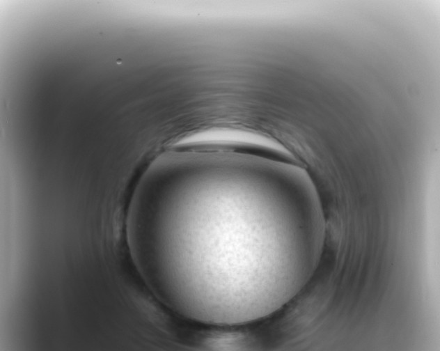 X0000089460458200706221308