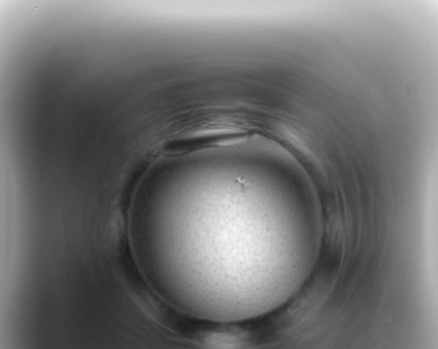 X0000089460459200706221308