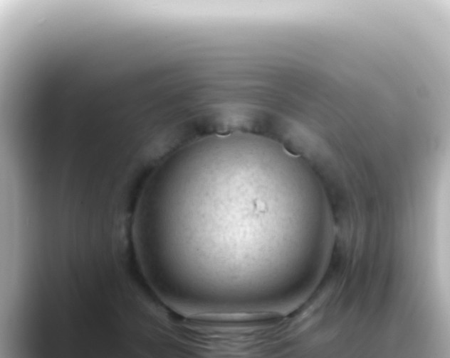 X0000089460462200706221308