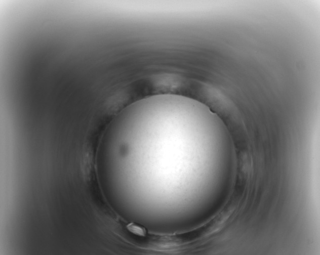 X0000089460463200706221308