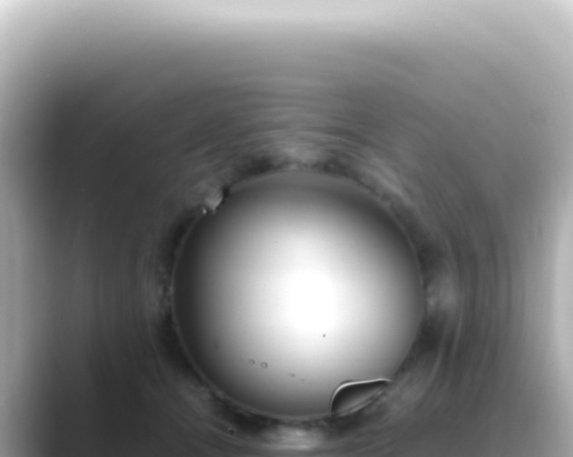 X0000089460464200706221308
