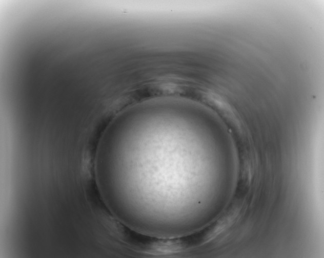 X0000089460465200706221308
