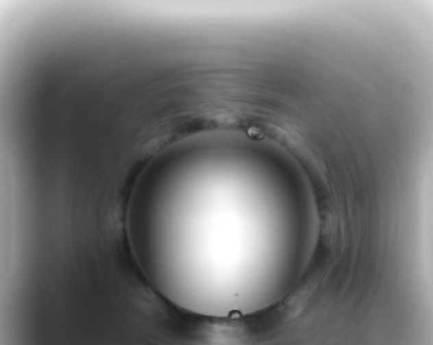 X0000089460466200706221308
