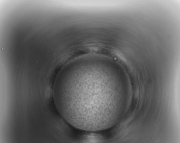 X0000089460467200706221308
