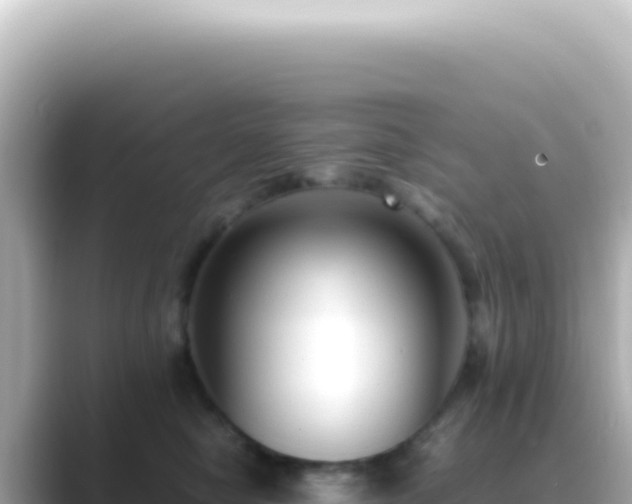 X0000089460470200706221308