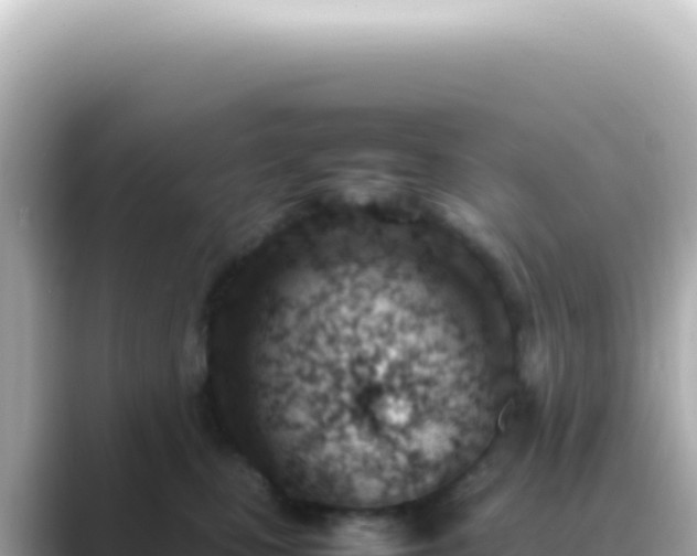 X0000089460471200706221308
