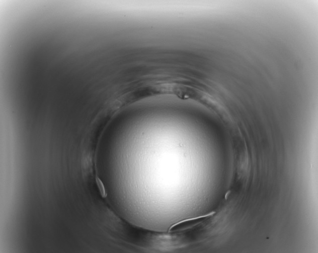 X0000089460473200706221308